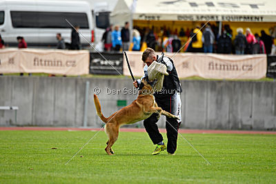 Rechtsanwalt von der Steinteichmühle