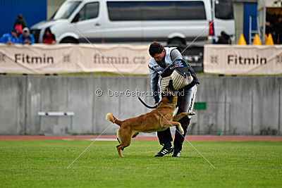 Rechtsanwalt von der Steinteichmühle