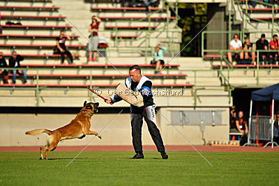 Rechtsanwalt von der Steinteichmühle