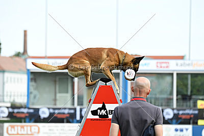 Rechtsanwalt von der Steinteichmühle