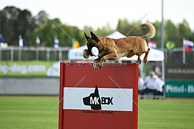 Rechtsanwalt von der Steinteichmühle