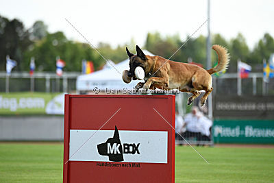 Rechtsanwalt von der Steinteichmühle