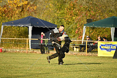 Record Arlin Stanios