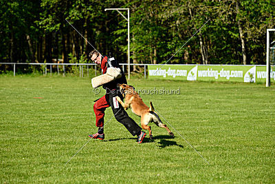 Reich Ranicki von der Steinteichmühle