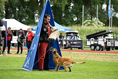 Resi Rückenwind von der Steinteichmühle
