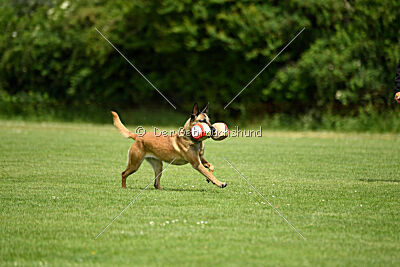 Resi Rückenwind von der Steinteichmühle