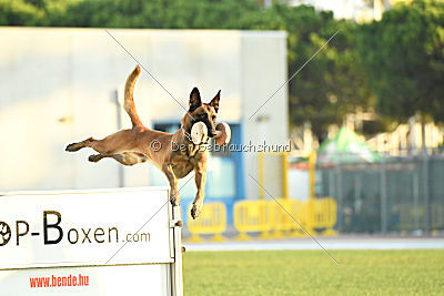 Reunion (FCI) Constantin Anoubis