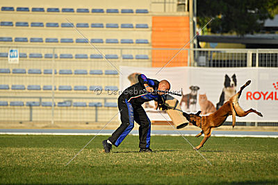 Reunion (FCI) Constantin Anoubis