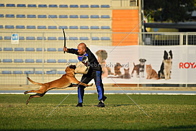 Reunion (FCI) Constantin Anoubis