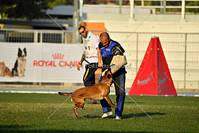 Reunion (FCI) Constantin Anoubis