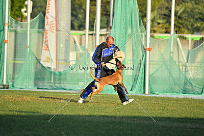 Reunion (FCI) Constantin Anoubis