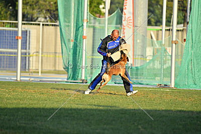 Reunion (FCI) Constantin Anoubis