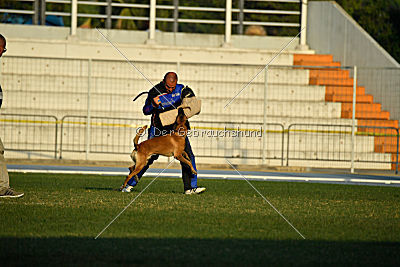 Reunion (FCI) Constantin Anoubis