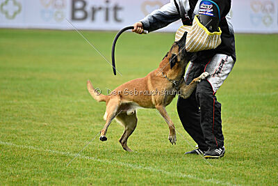 Reunion Constantin Anoubis