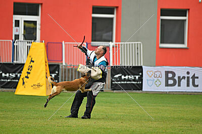 Reunion Constantin Anoubis