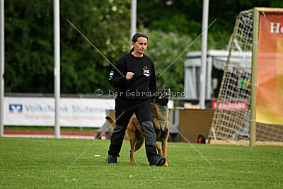 Rien ne va plus Campino