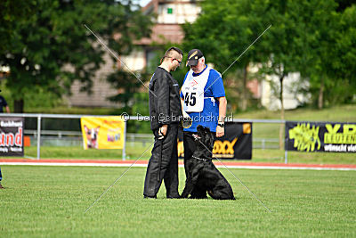 Ringo vom Lindelbrunn