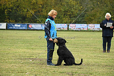 Rocco Radinie