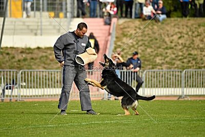 Rocco del Camino Duro