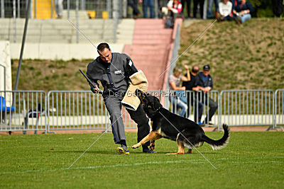 Rocco del Camino Duro