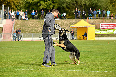 Rocco del Camino Duro