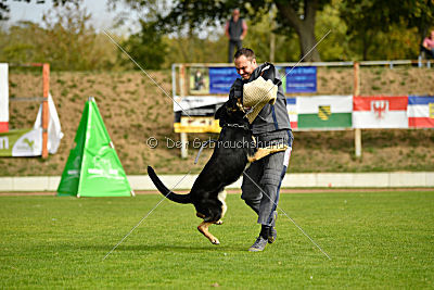 Rocco del Camino Duro