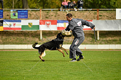 Rocco del Camino Duro