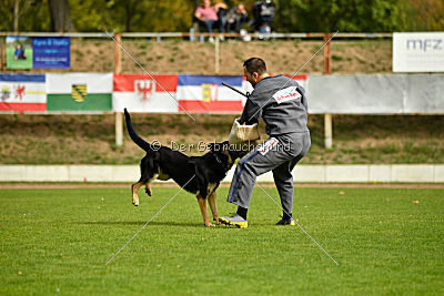 Rocco del Camino Duro