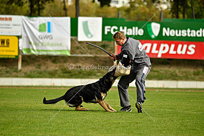 Rocco del Camino Duro