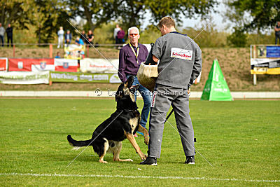 Rocco del Camino Duro