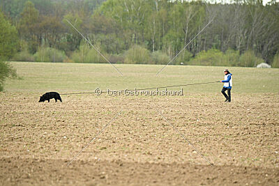 Roeckie II van Arne's Hoeve