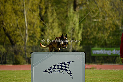 Roger de Knueve Hispania