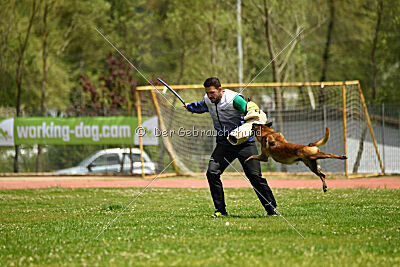 Roger de Knueve Hispania