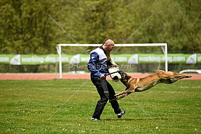 Roger de Knueve Hispania