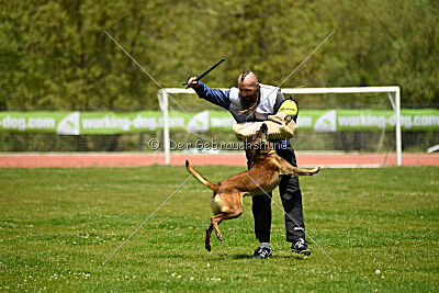 Roger de Knueve Hispania