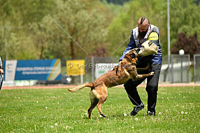 Roger de Knueve Hispania