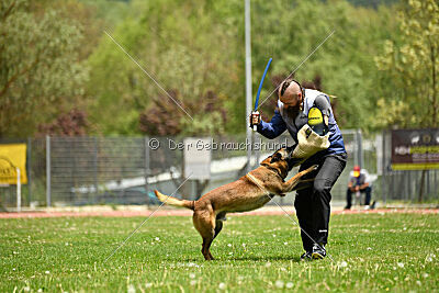 Roger de Knueve Hispania