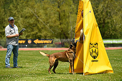 Roger de Knueve Hispania