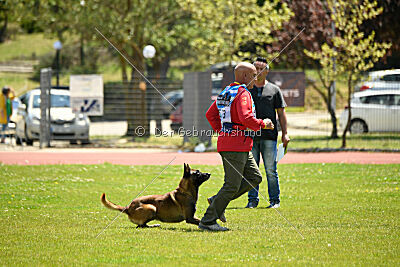 Roger de Knueve Hispania