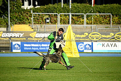 Rosa vom Osterburg Quell