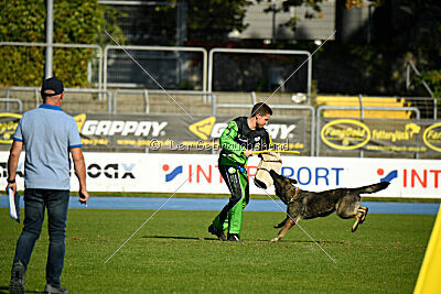 Rosa vom Osterburg Quell