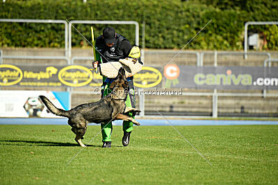 Rosa vom Osterburg Quell