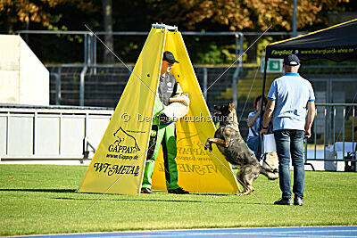 Rosa vom Osterburg Quell