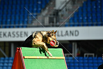 Rossia iz Vorta Wernogo