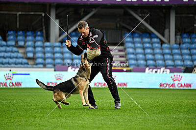 Rossia iz Vorta Wernogo