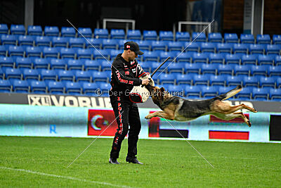 Rossia iz Vorta Wernogo