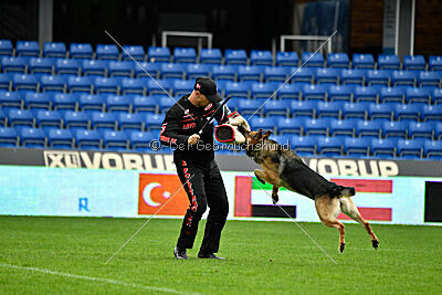 Rossia iz Vorta Wernogo