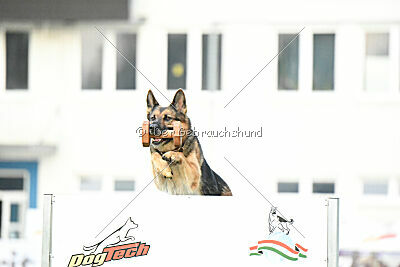 Rossia iz Vorta Wernogo