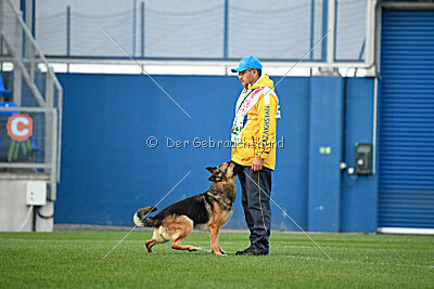 Rossia iz Vorta Wernogo