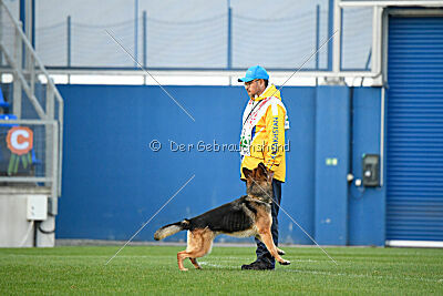 Rossia iz Vorta Wernogo